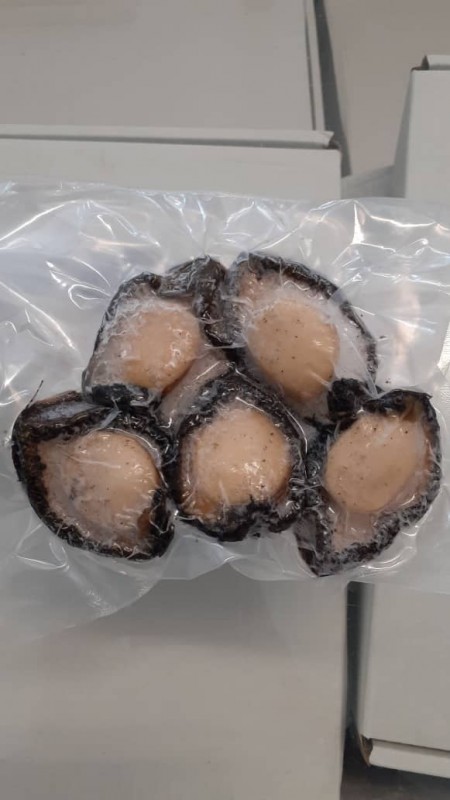 Abalone from South Africa